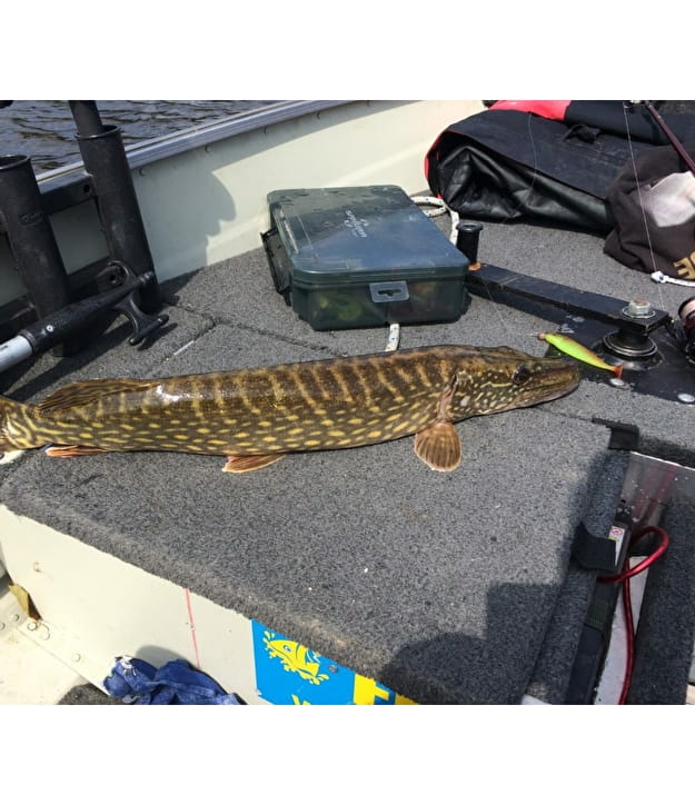 P Che Au Lac De Crescent Morvan Sommets Et Grands Lacs