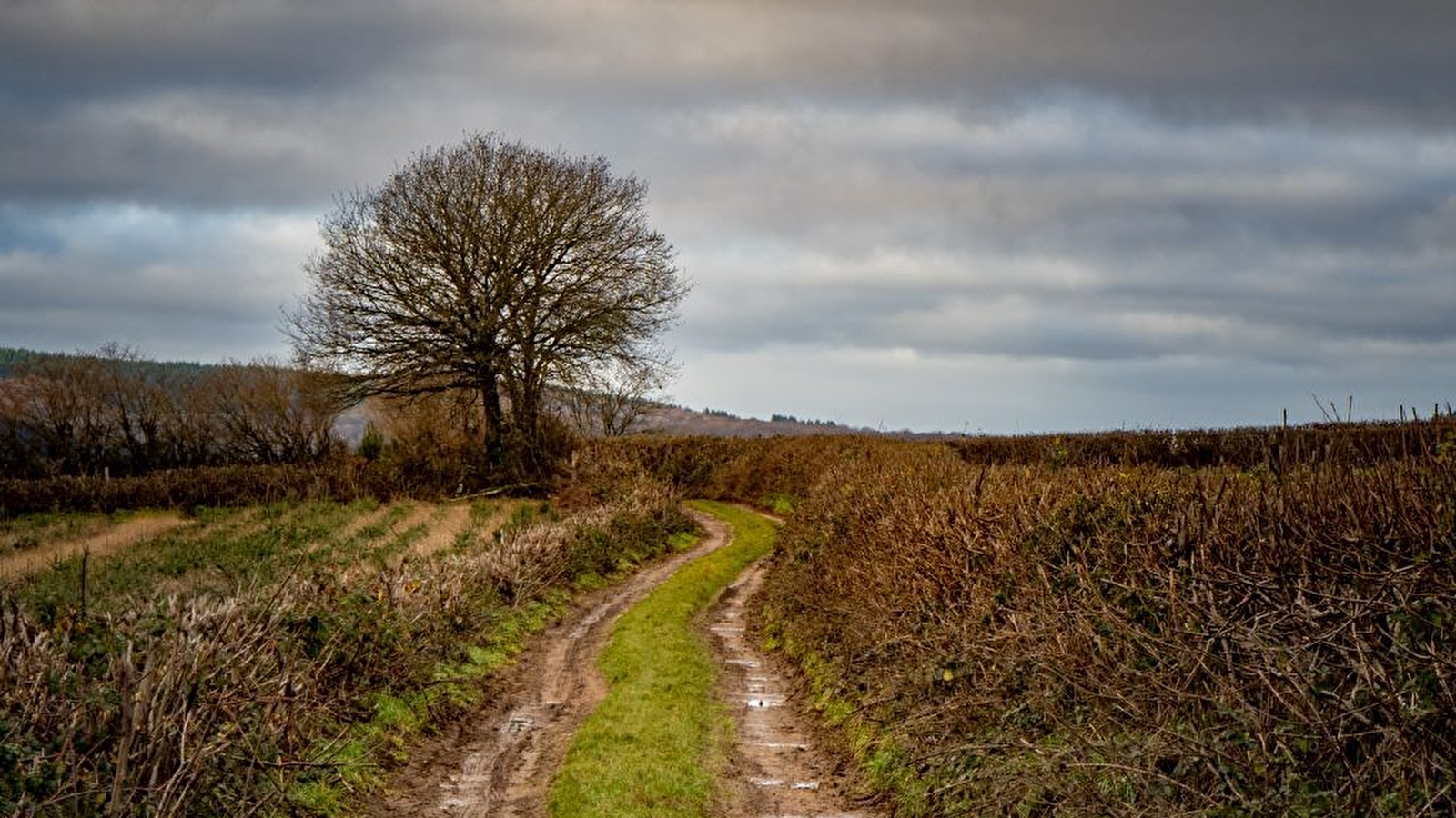 Circuit de randonnée : Chemin du Tacot