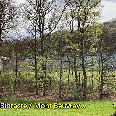 Bibracte - Pâtures du Sud-Morvan