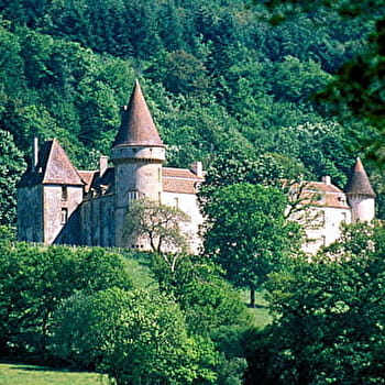 Circuit de randonnée : la boucle de Bazoches - BAZOCHES