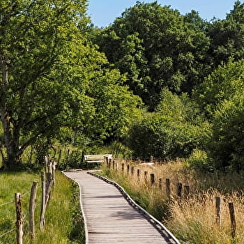 Circuit de randonnée : tour du lac de Saint-Agnan - SAINT-AGNAN