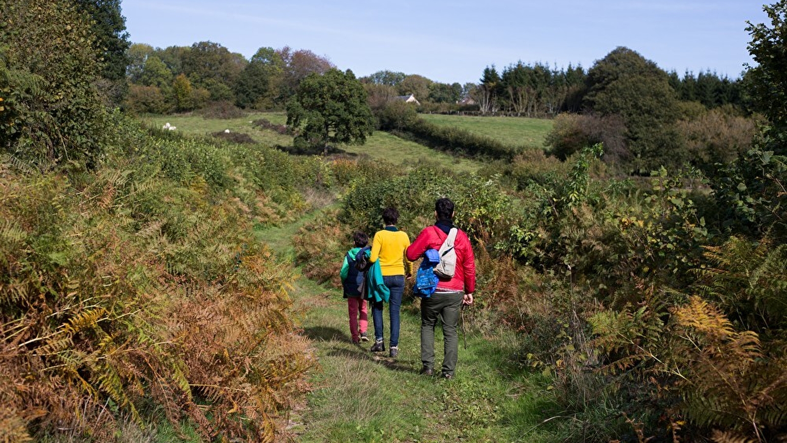 GR ® de Pays Grand Tour du Morvan par les Lacs