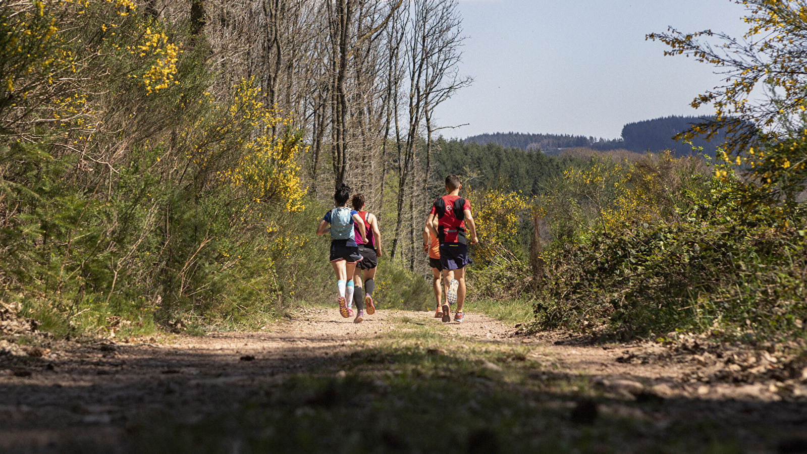 Circuit de Trail: Boucle n°1 de Lormes